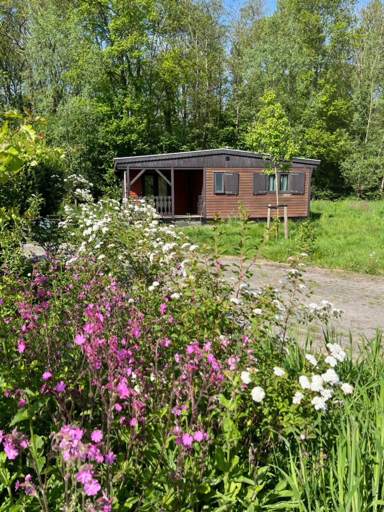 Hoeve Veganza B&B Vlagtwedde エクステリア 写真