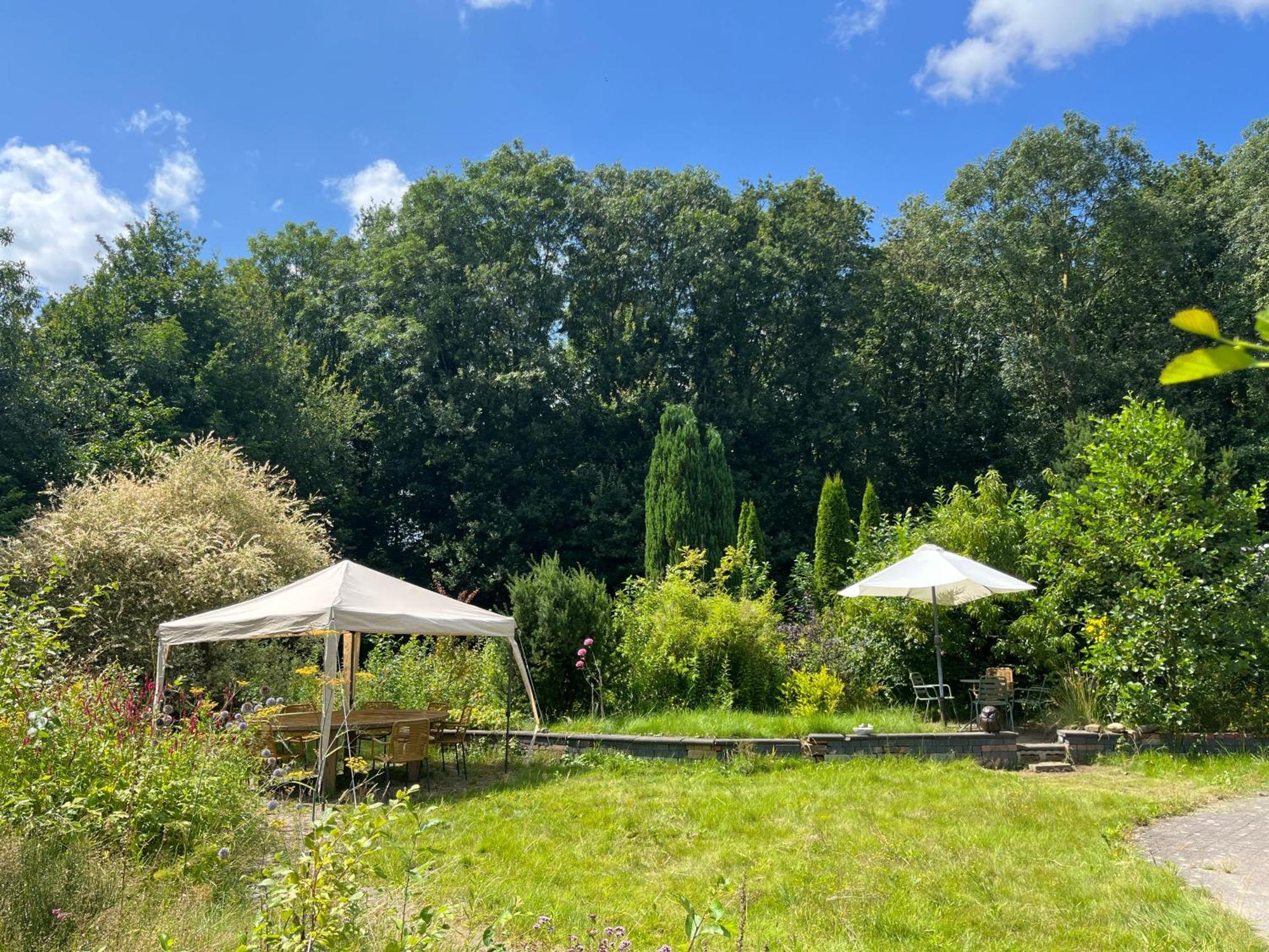 Hoeve Veganza B&B Vlagtwedde エクステリア 写真