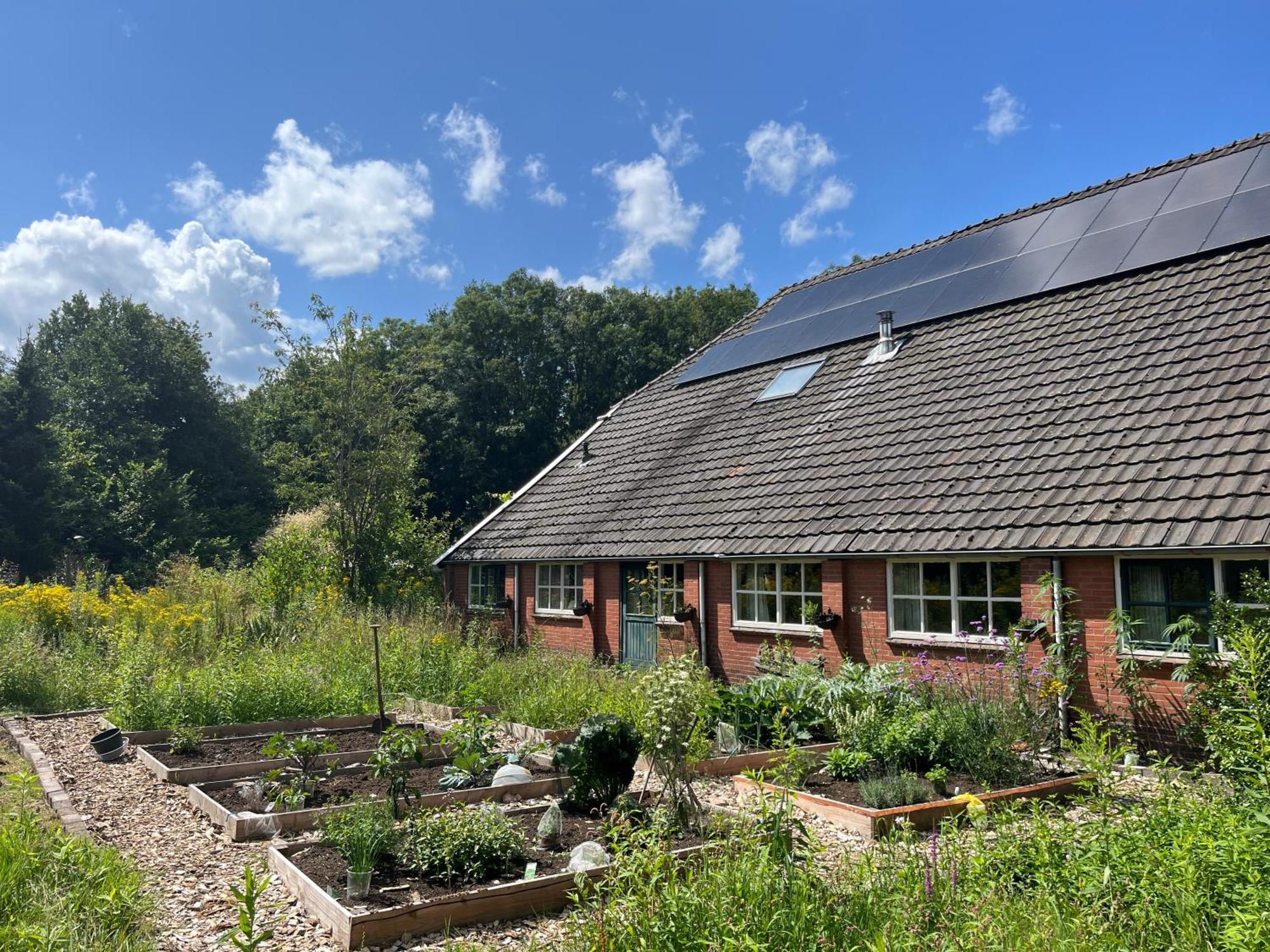 Hoeve Veganza B&B Vlagtwedde エクステリア 写真