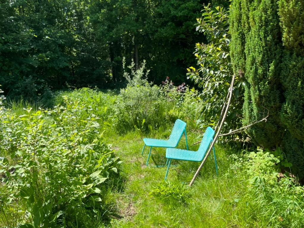 Hoeve Veganza B&B Vlagtwedde エクステリア 写真