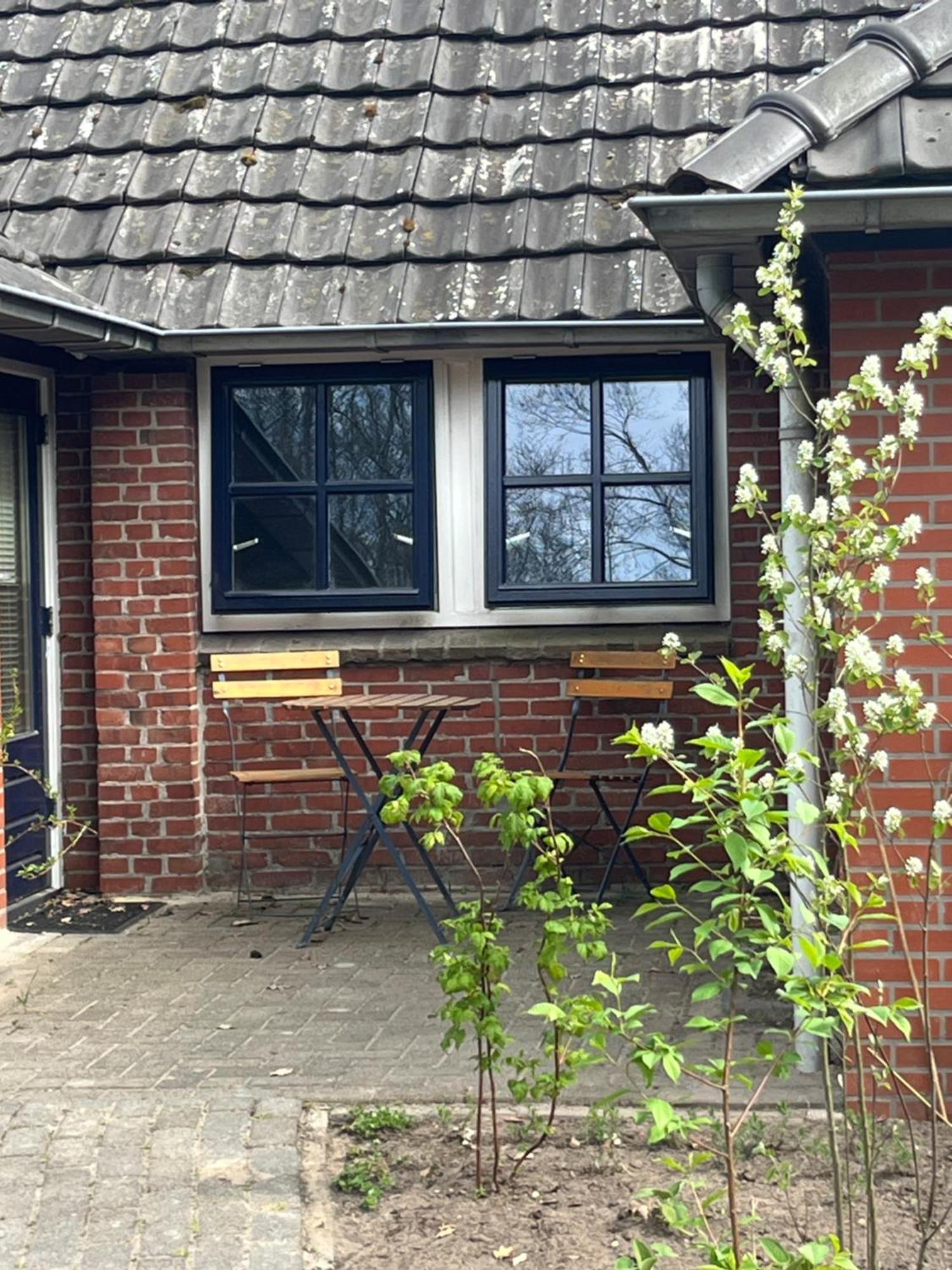 Hoeve Veganza B&B Vlagtwedde エクステリア 写真