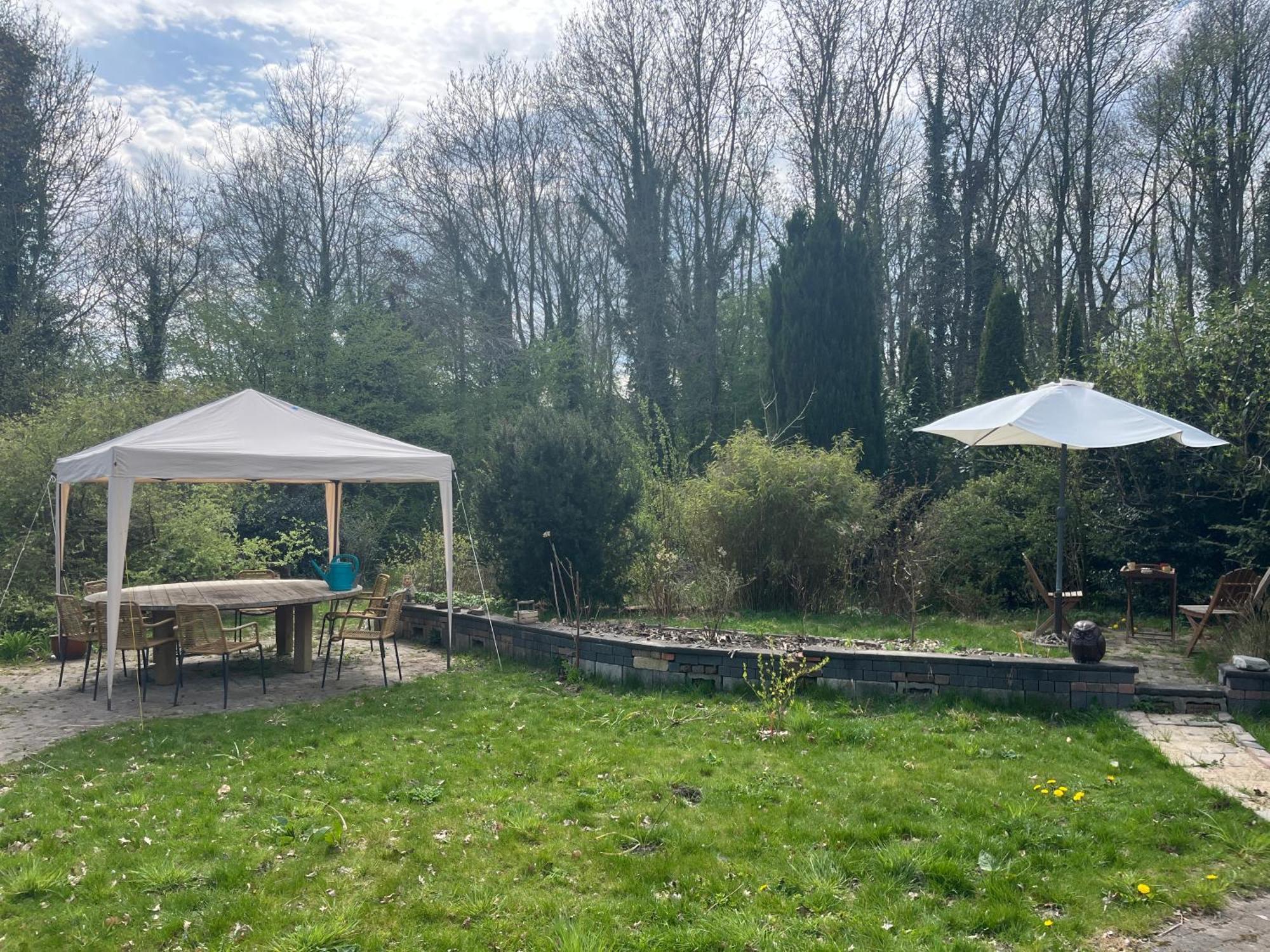 Hoeve Veganza B&B Vlagtwedde エクステリア 写真