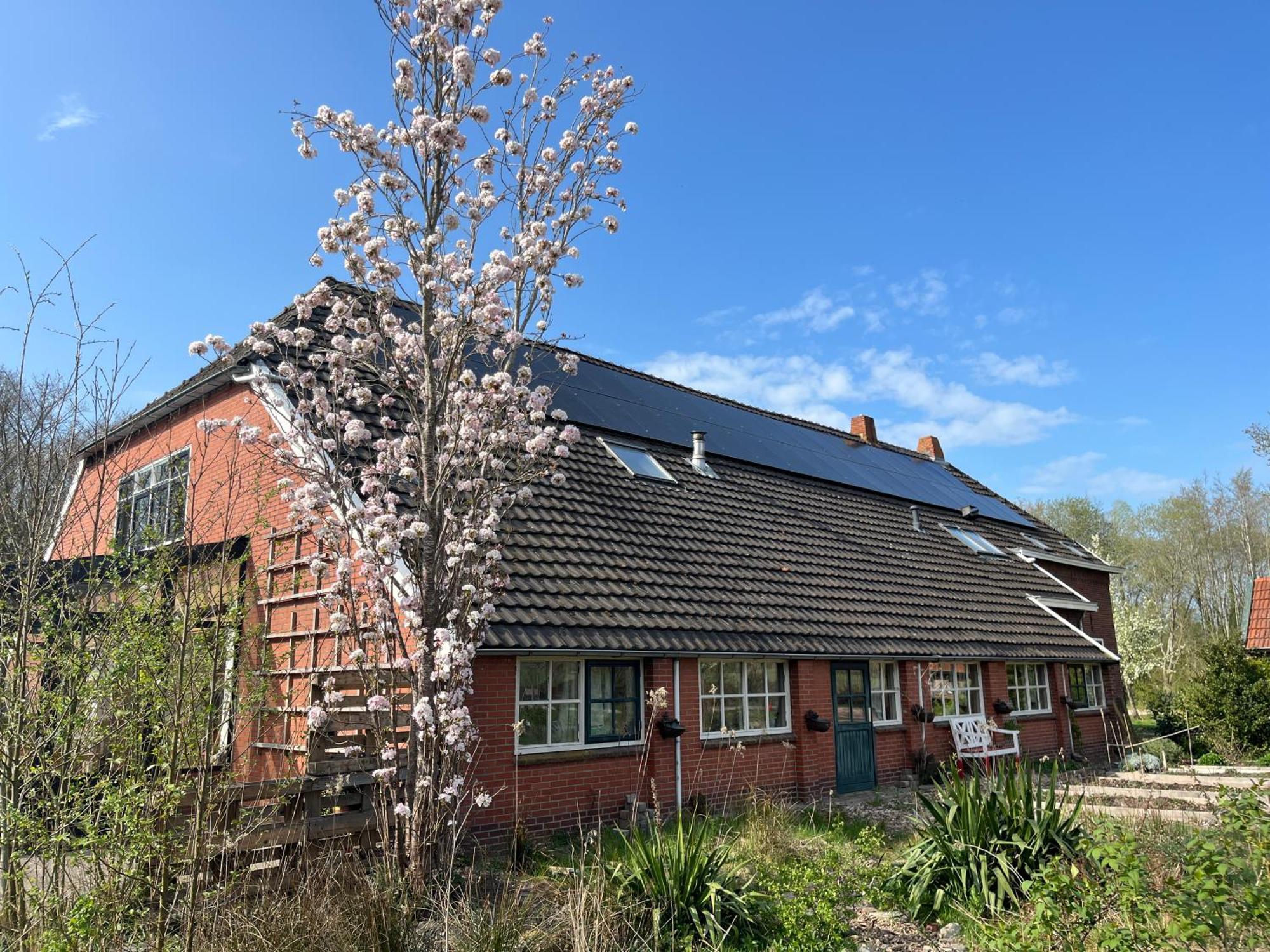 Hoeve Veganza B&B Vlagtwedde エクステリア 写真