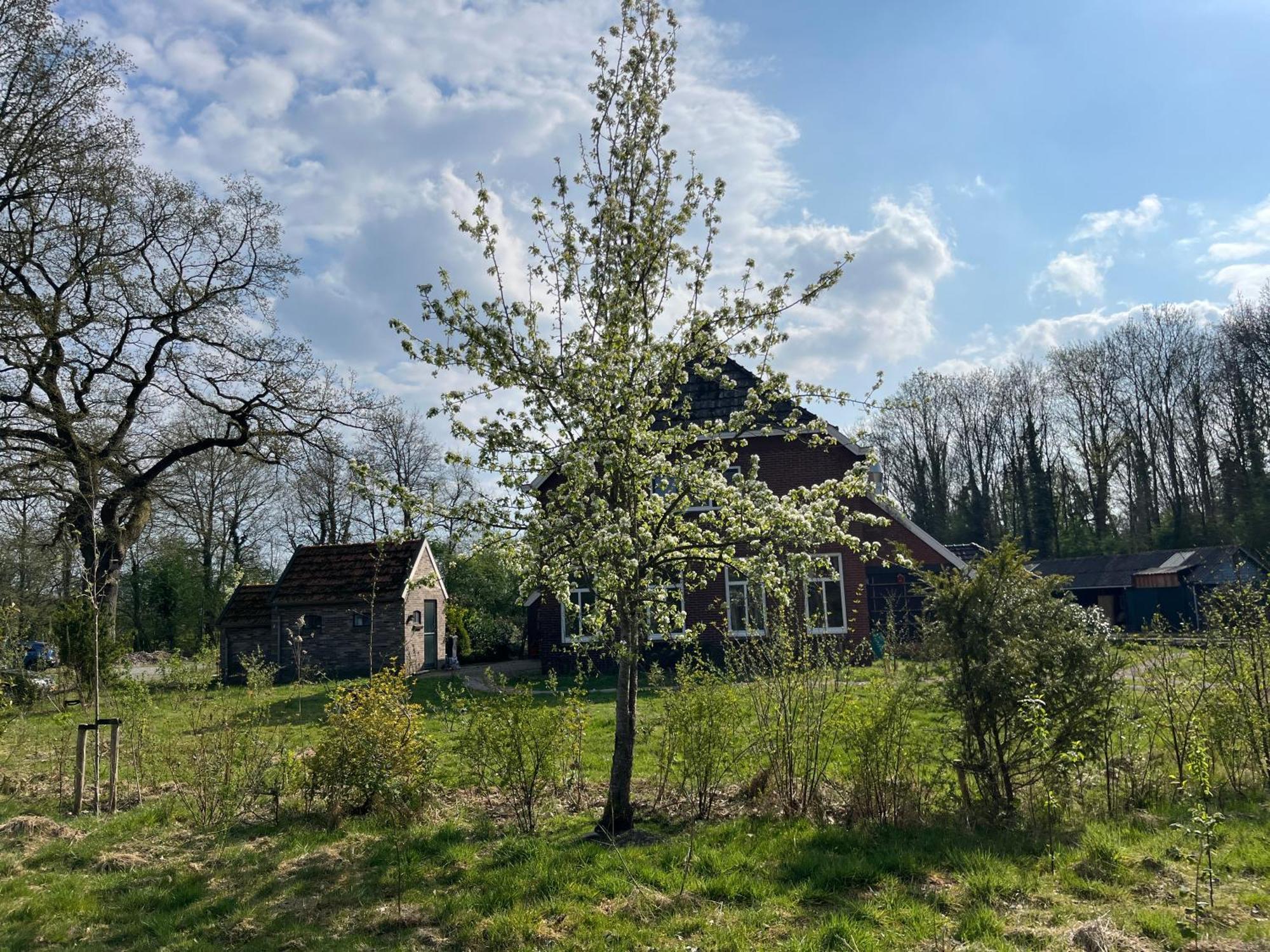 Hoeve Veganza B&B Vlagtwedde エクステリア 写真